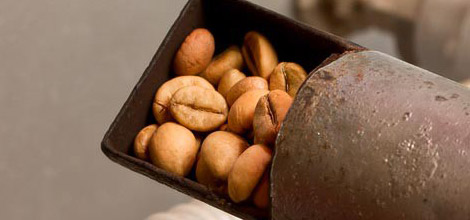 Ristede b&oslash;nner &ndash; M&oslash;rkere ristninger indeholder mindre koffein