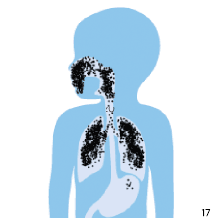 Maske med en korrekt t&aelig;tning