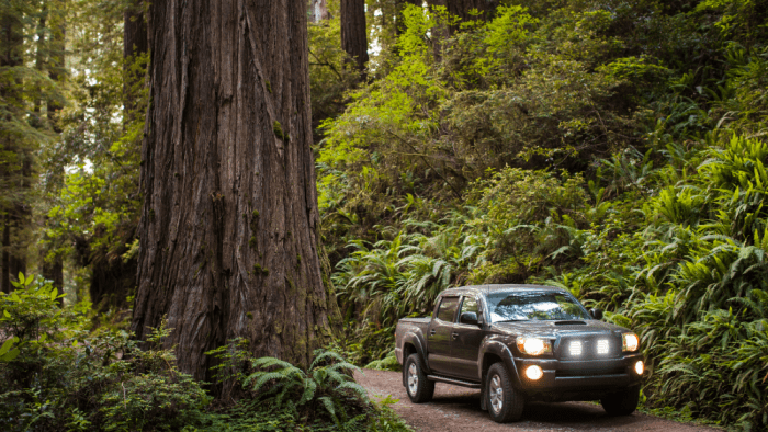 lyskilde med lysbj&aelig;lke