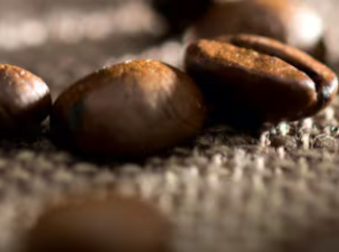 &Oslash;kologiske kaffeb&oslash;nner